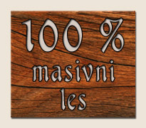 100% masivni les